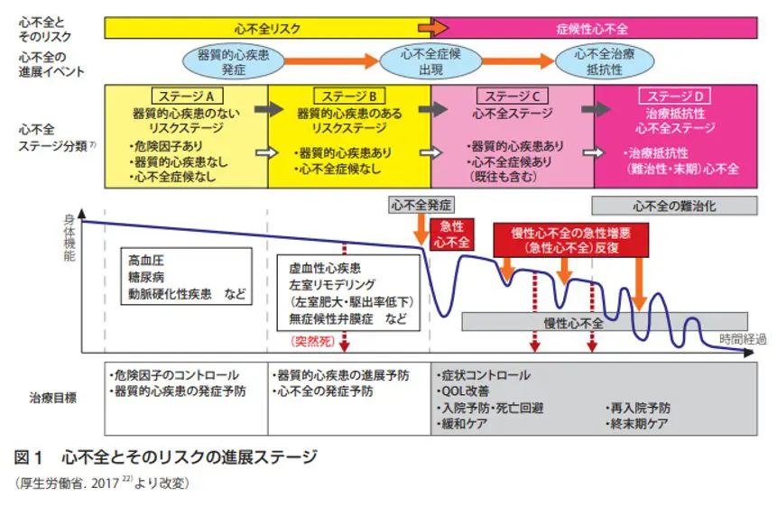 2型糖尿病の心不全治療』2022年11月24日南加賀学術講演会 | 小野江医院